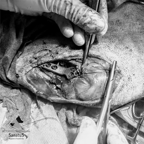 Comentarii opinii despre Przychodnia Weterynaryjna Sanatus M.Rembowska