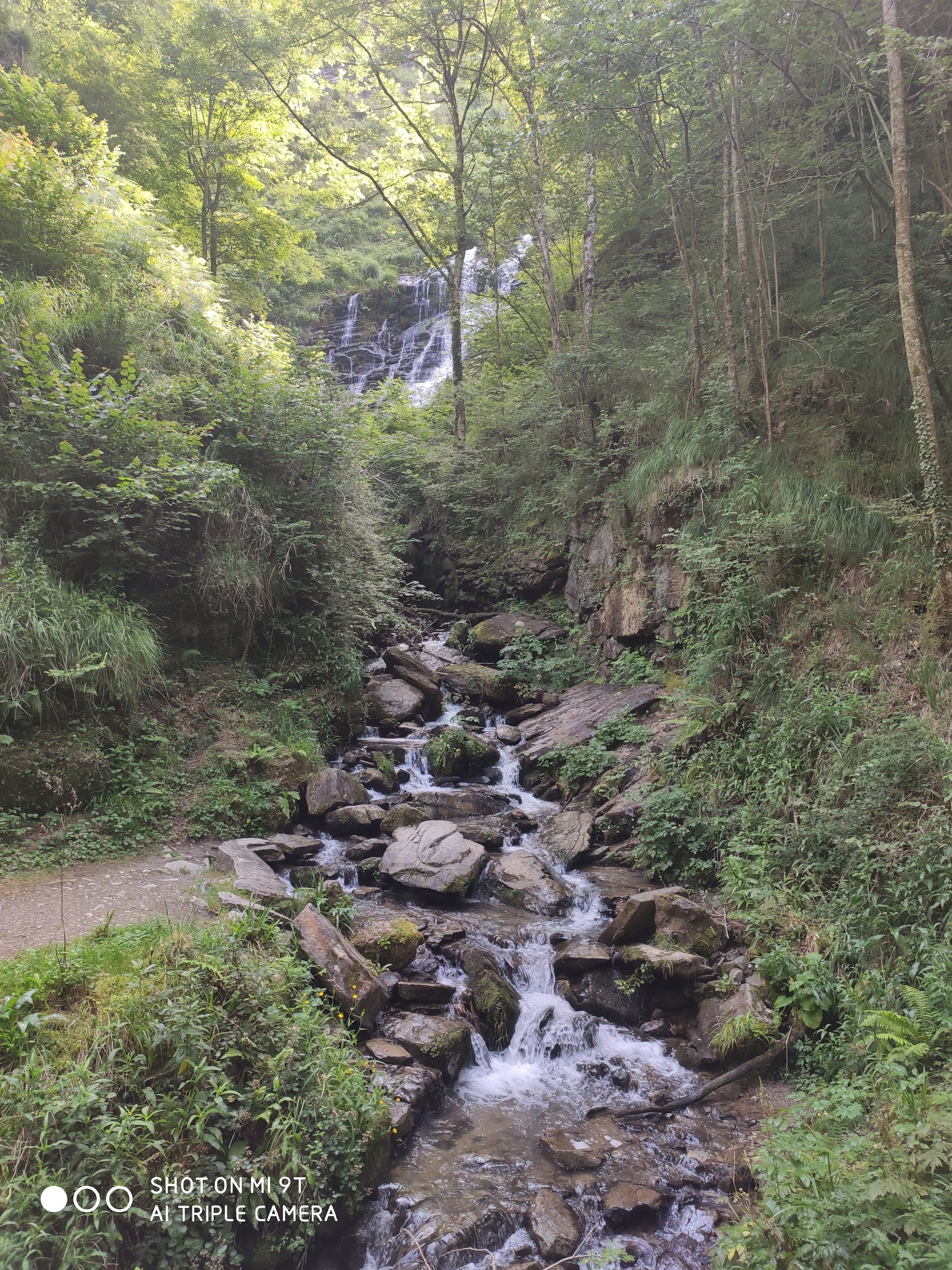 Photo n° 10 de l'avis de Dorothée.e fait le 11/07/2020 à 08:33