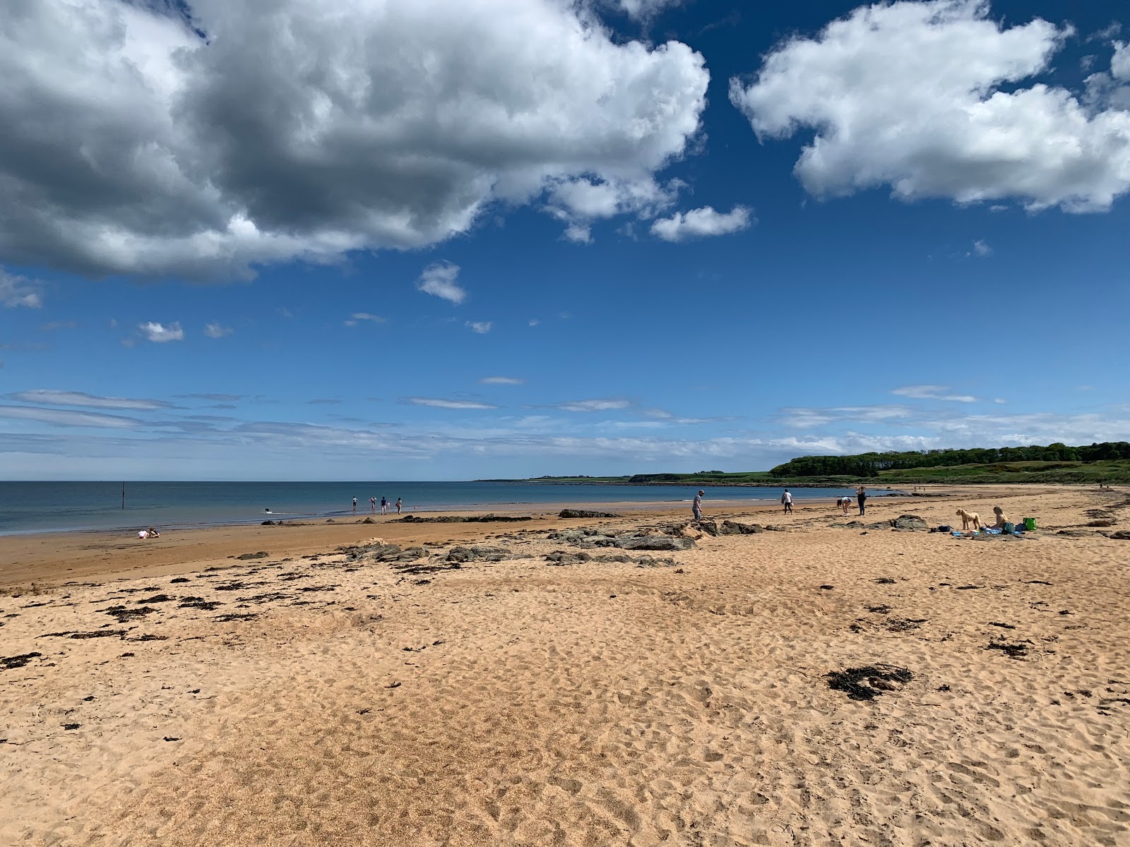 Foto di Kingsbarns Beach con una superficie del sabbia beige