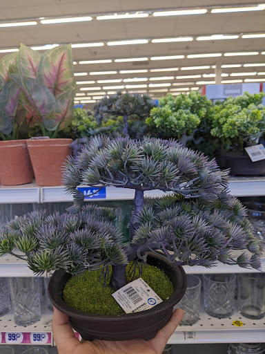 Discount Store «99 Cents Only Stores», reviews and photos, 140 E Duarte Rd, Arcadia, CA 91006, USA