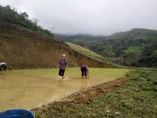 Top 17 cửa hàng elite Huyện Pác Nặm Bắc Kạn 2022