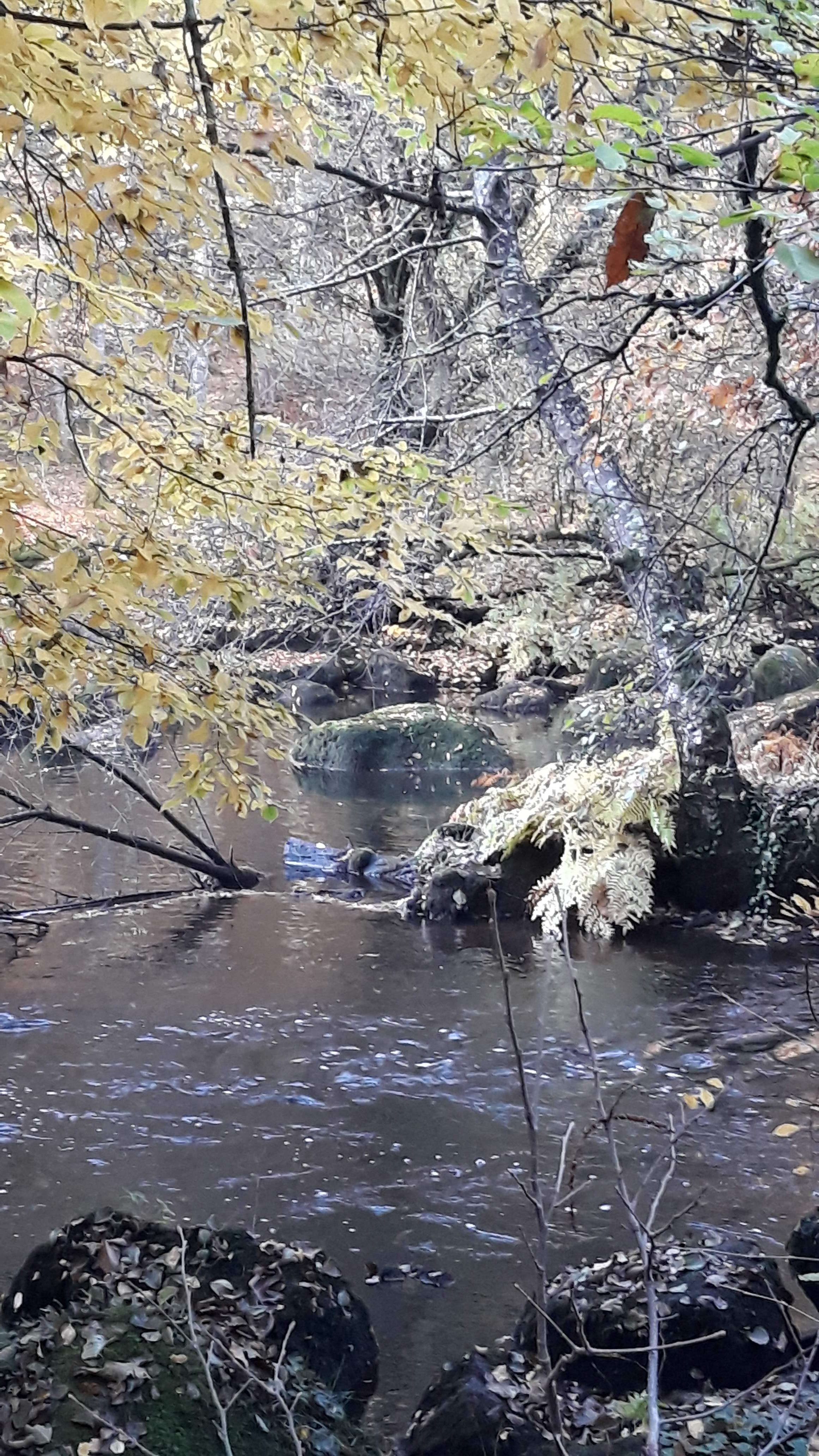 Photo n° 2 de l'avis de Sophie.E fait le 27/12/2018 à 17:56