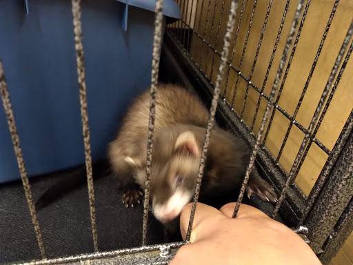 Pet Supply Store «Pet Supplies Plus», reviews and photos, 101 Sutton Ave, Oxford, MA 01540, USA