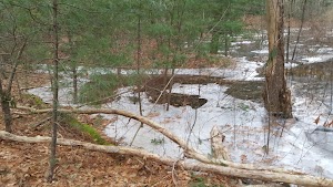 Sachem Rock Farm - photo 34