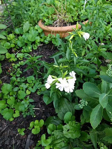 Florist «Scentaments Flowers & Gift Shop», reviews and photos, 214 Shevel Dr, Goodlettsville, TN 37072, USA