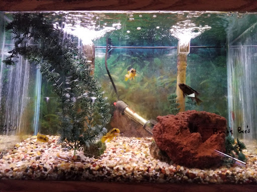 Pet Supply Store «All About Pets», reviews and photos, 9285 Cincinnati Columbus Rd, West Chester Township, OH 45069, USA