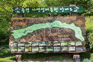 중명자연생태공원 image