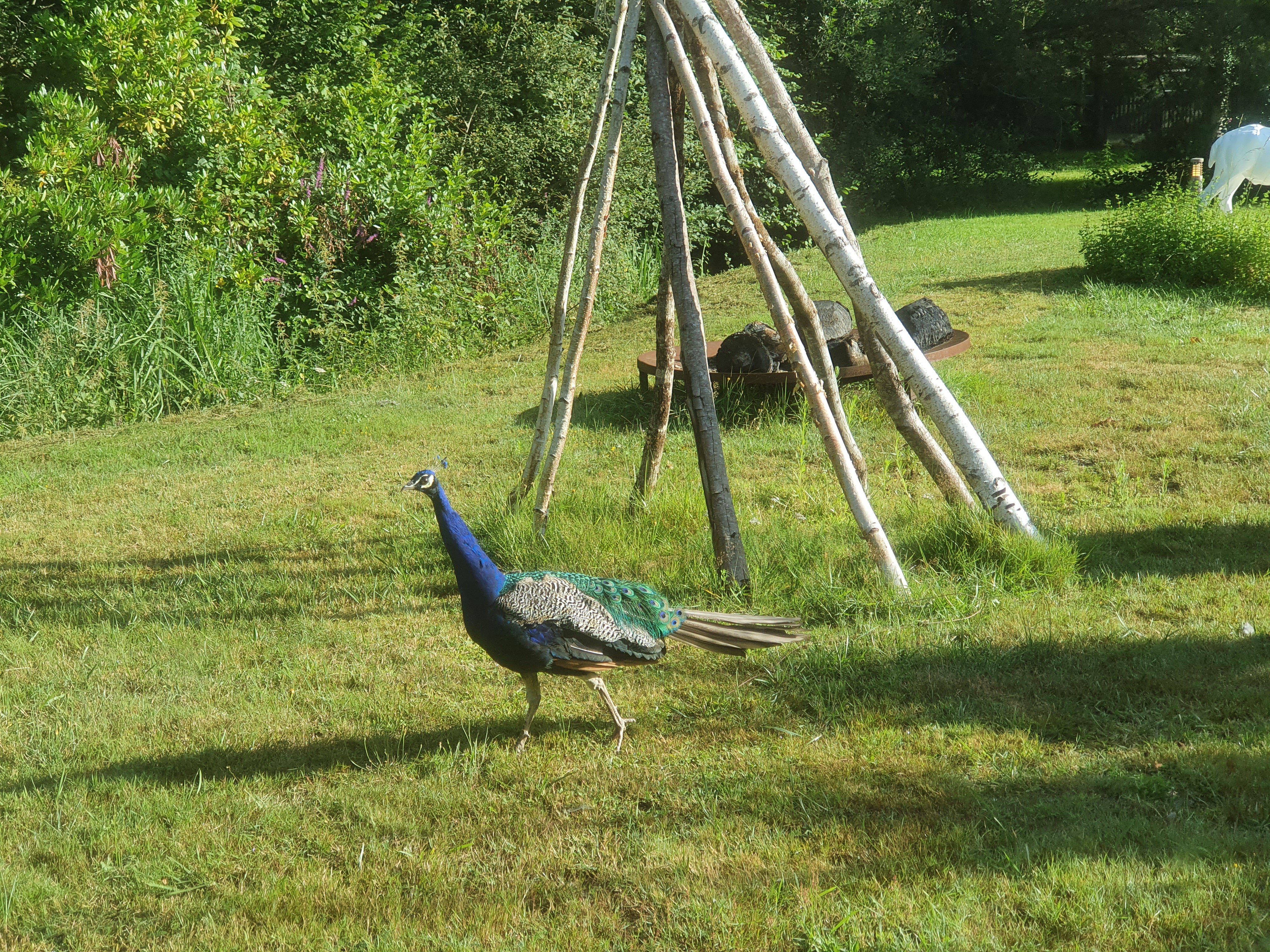 Photo n° 11 de l'avis de Françoise.I fait le 12/08/2021 à 16:46