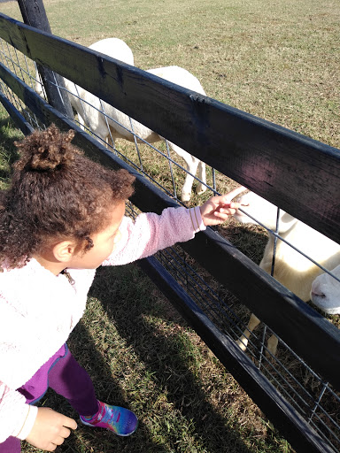 Wedding Venue «Rancho Alegre Farm», reviews and photos, 2225 Givens Rd, Dacula, GA 30019, USA