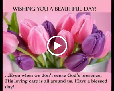 Department Store «T.J. Maxx», reviews and photos, 1600 SE Rd, Farmington, CT 06032, USA