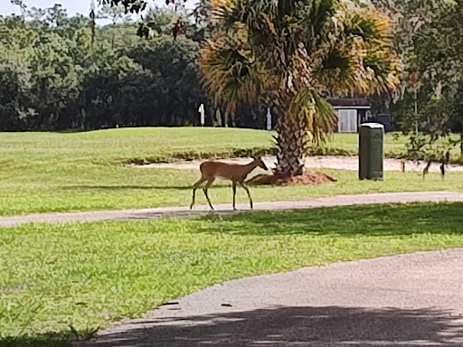 Golf Club «Tarpon Woods Golf Club», reviews and photos, 1100 Tarpon Woods Blvd, Palm Harbor, FL 34685, USA