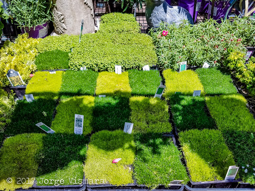 Hardware Store «Orchard Supply Hardware», reviews and photos, 19330 Hawthorne Blvd, Torrance, CA 90503, USA