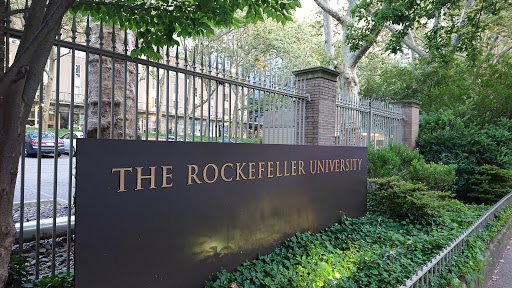 The Rockefeller University image 5