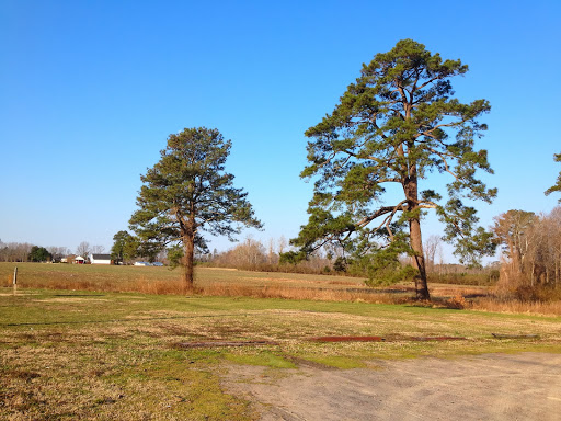Ham Shop «Edwards Ham Shop of Surry», reviews and photos, 11381 Rolfe Hwy, Surry, VA 23883, USA