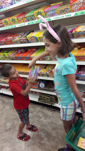 Dollar Store «Dollar Tree», reviews and photos, 13741 S Tamiami Trail #4, Fort Myers, FL 33912, USA