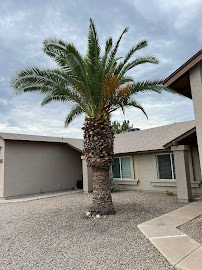 Ready To Go Yard Services - Photo 7 - Car repair in , Peoria