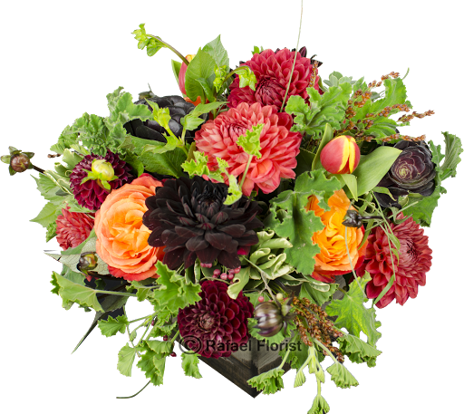 Florist «Rafael Florist», reviews and photos, 891 4th St, San Rafael, CA 94901, USA