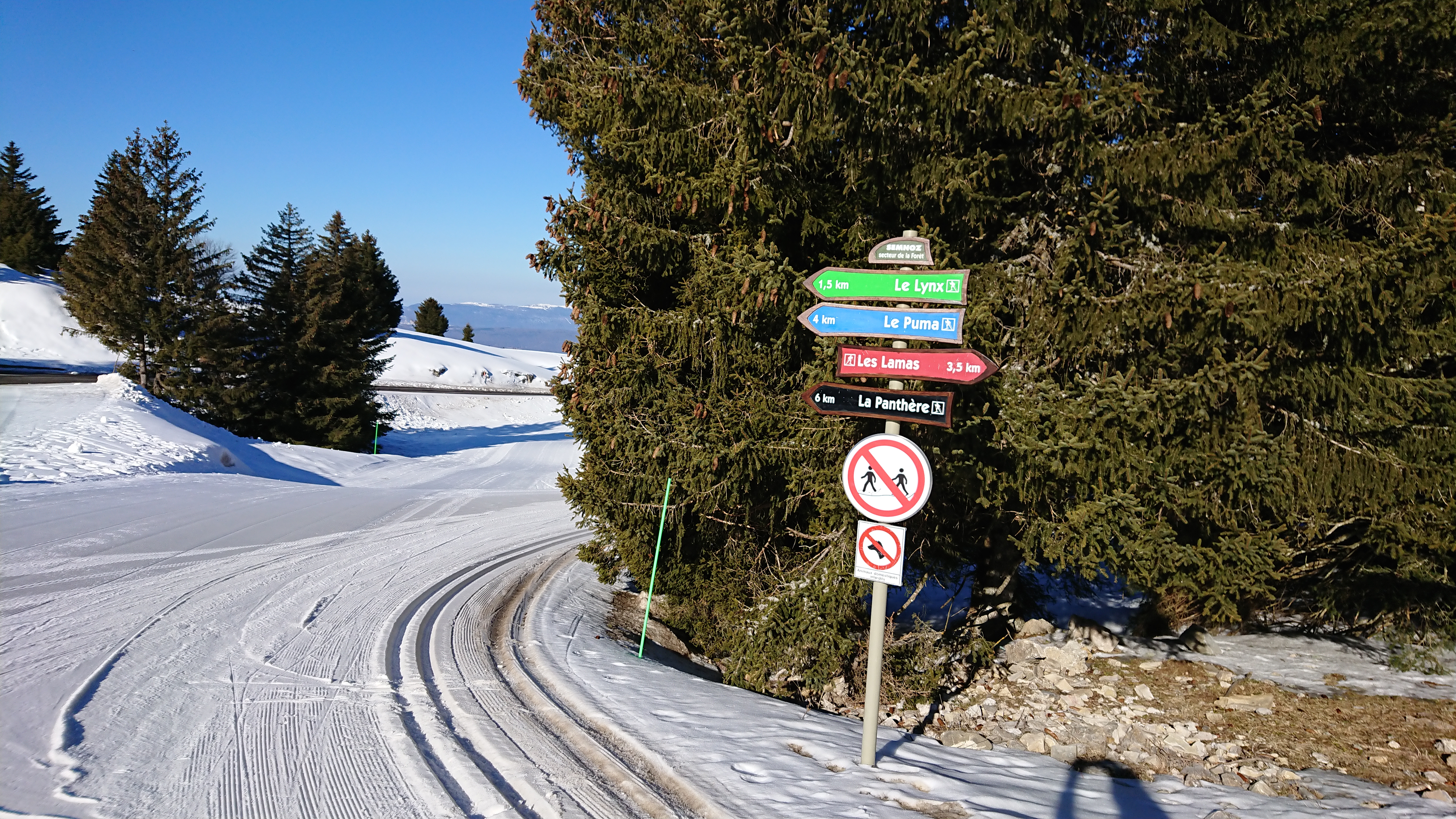Photo n° 2 de l'avis de Raphael.a fait le 10/02/2022 à 10:53