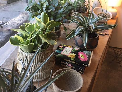 Gift Shop «GENERAL STORE», reviews and photos, 4035 Judah St, San Francisco, CA 94122, USA