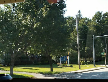 Blue Willow Counseling