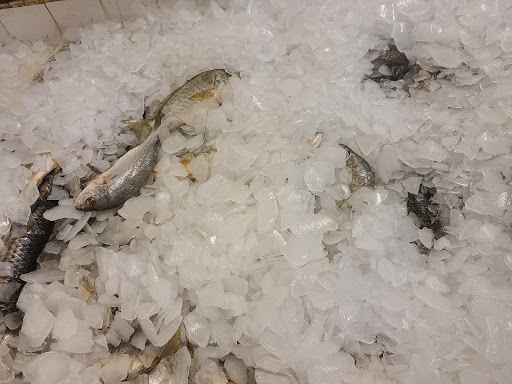 Seafood Market «Ocean Fish Market», reviews and photos, 302 Kingston St, Conway, SC 29526, USA