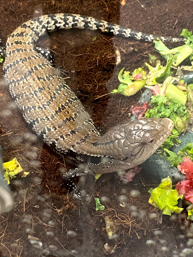 Pet Supply Store «Pet Supplies Plus», reviews and photos, 5418 N Blackstone Ave, Fresno, CA 93710, USA