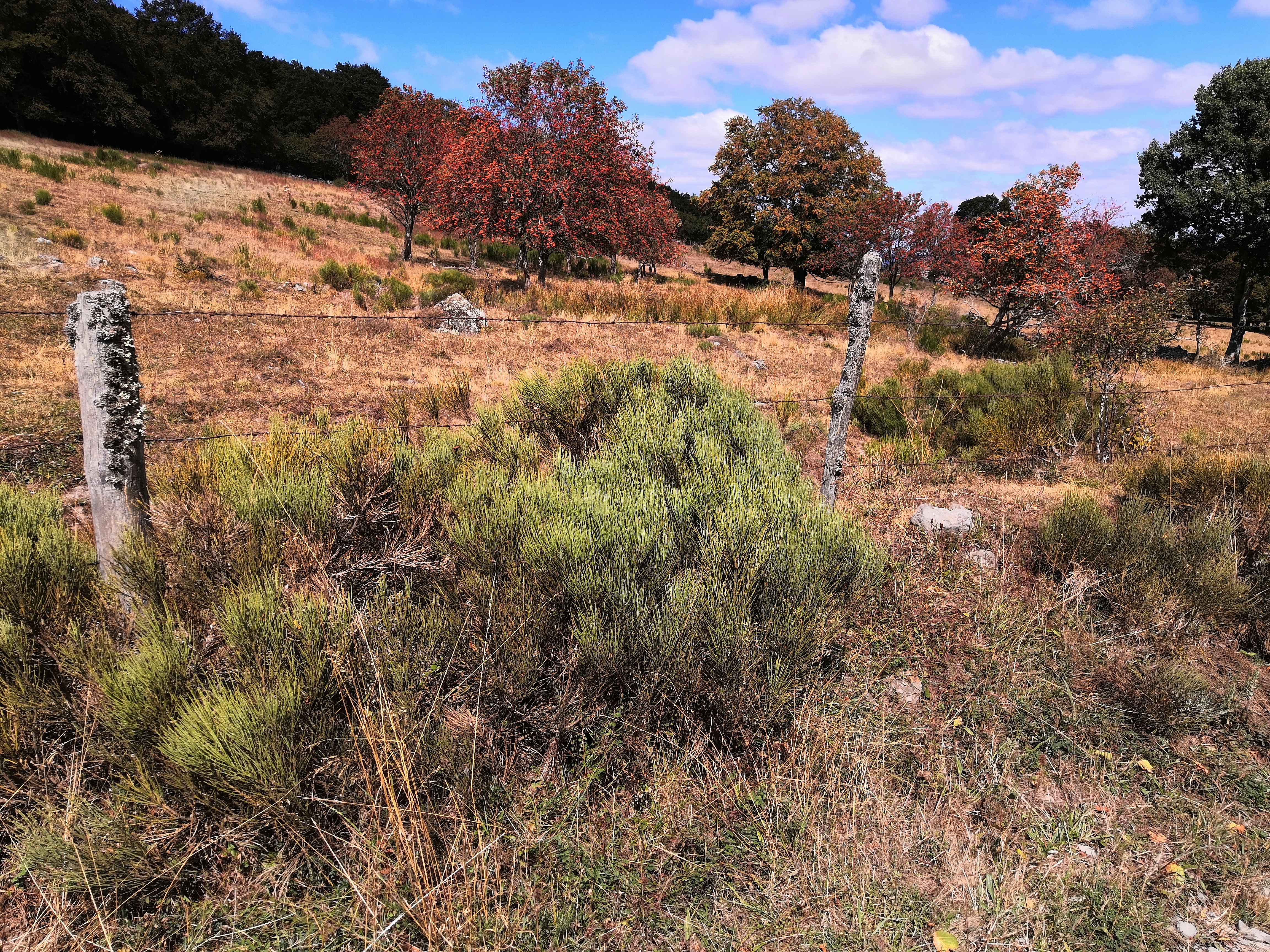 Photo n° 9 de l'avis de L. fait le 16/09/2020 à 18:23
