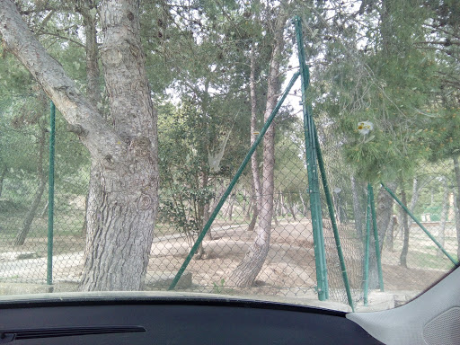 Club Esportiu Mas Duran — foto 3