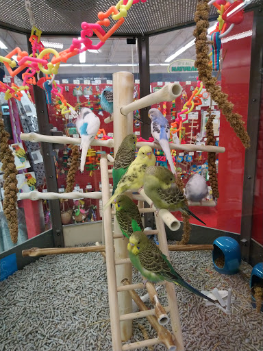 Pet Supply Store «Petco Animal Supplies», reviews and photos, 187 Stonebrook Pl, Jackson, TN 38305, USA