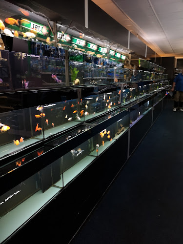 Reviews of South Yorkshire Aquatics in Doncaster - Shoe store