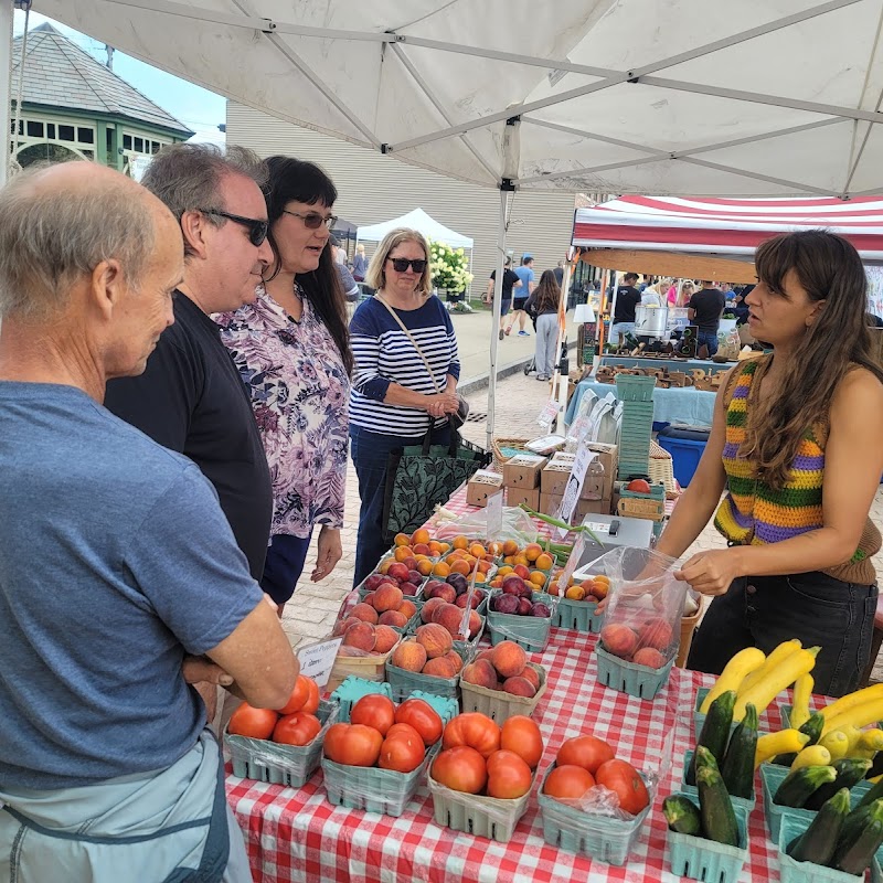 Lockport Community Market