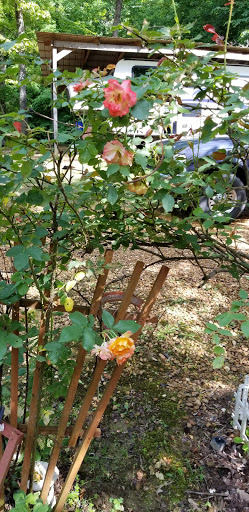 Cabin Rental Agency «Dixieland Cabins», reviews and photos, 1613 Donelson Pkwy, Dover, TN 37058, USA