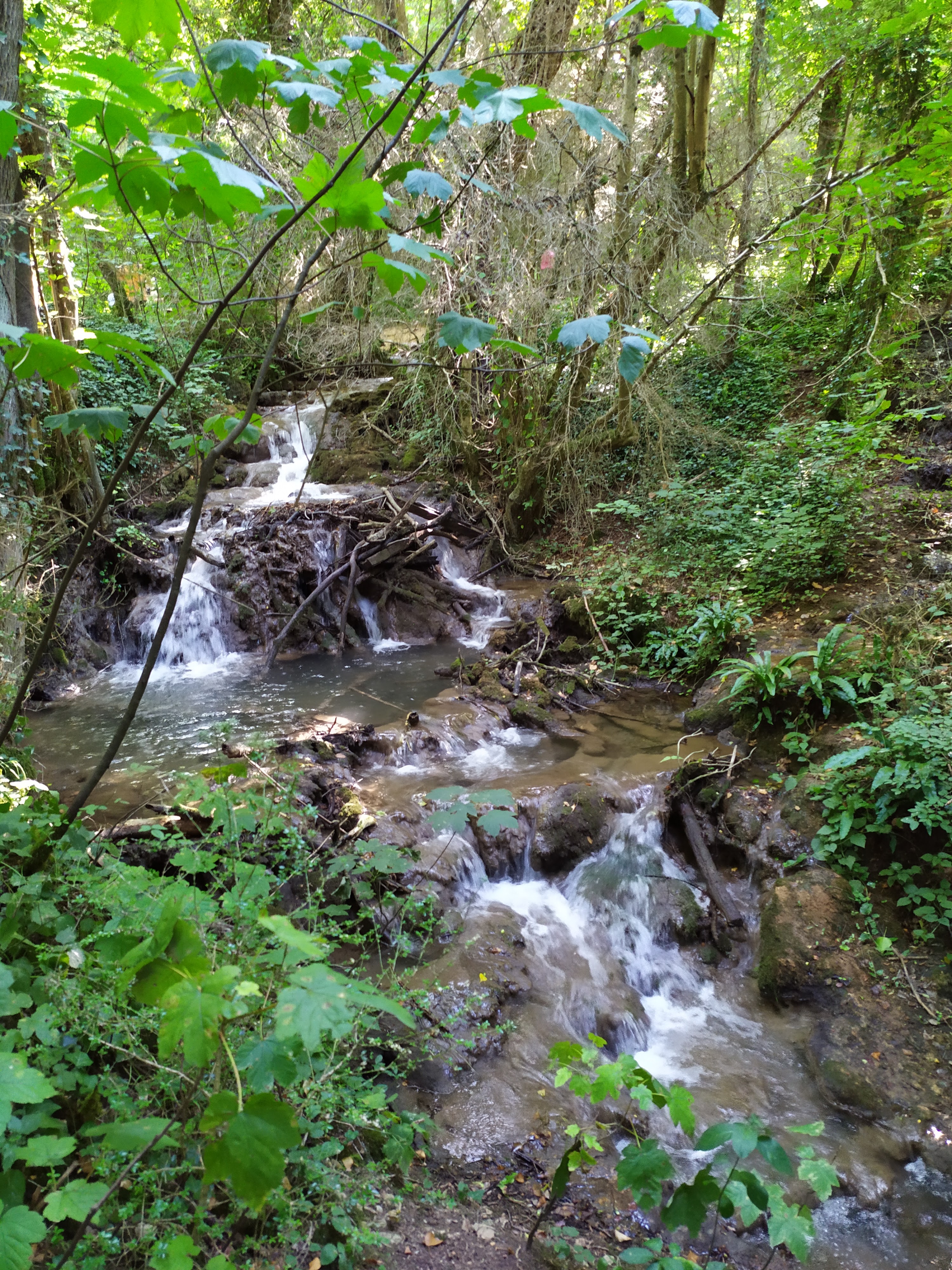 Photo n° 5 de l'avis de Estel.a fait le 17/08/2019 à 05:32