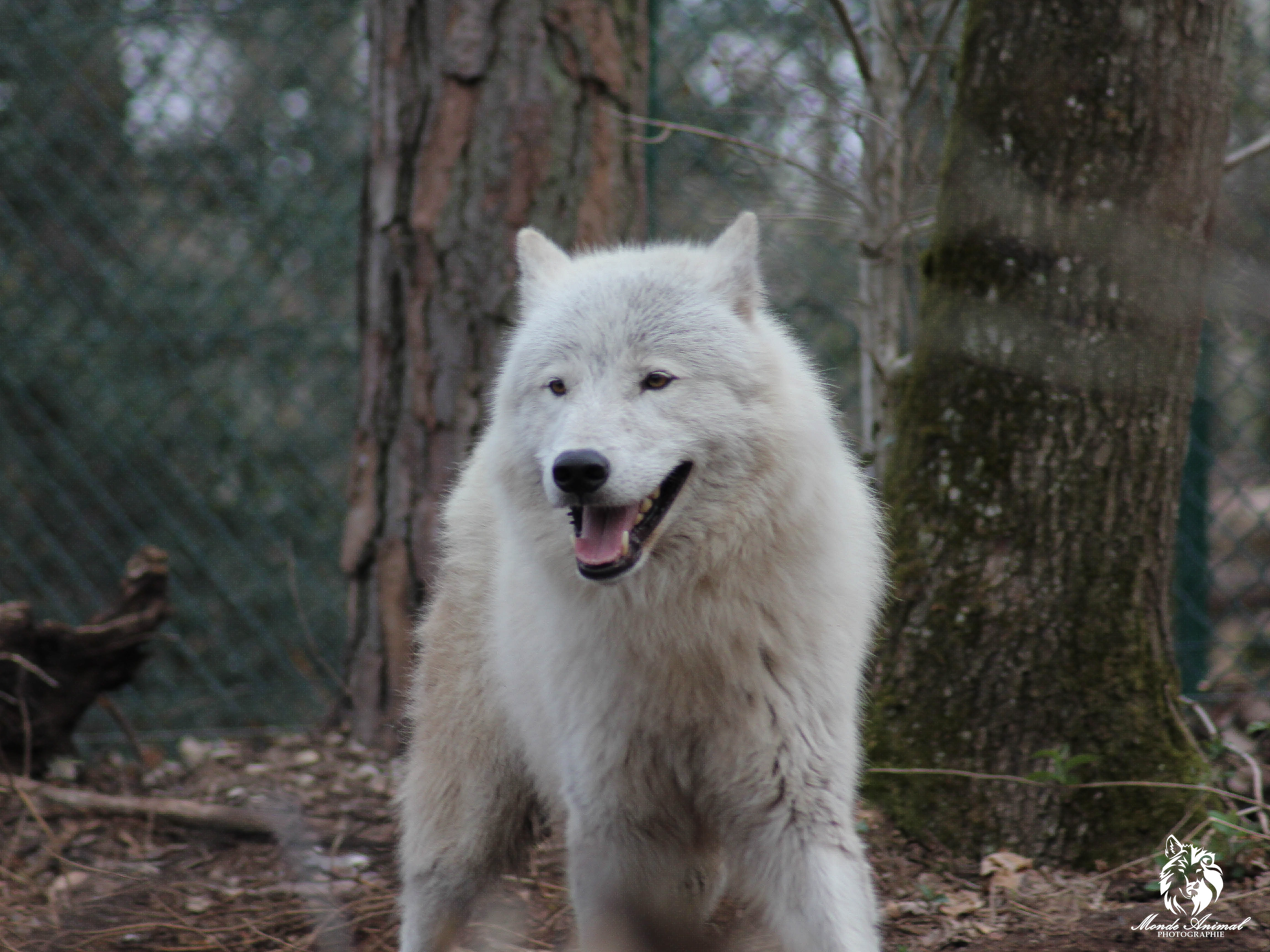 Photo n° 1 de l'avis de Alexia.o fait le 16/09/2019 à 10:15