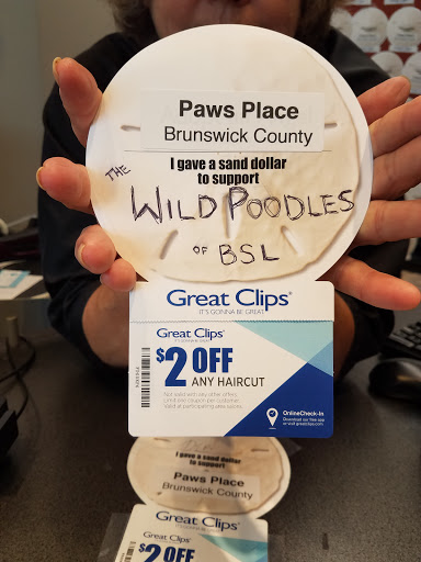 Hair Salon «Great Clips», reviews and photos, 1669 N Howe St c, Southport, NC 28461, USA