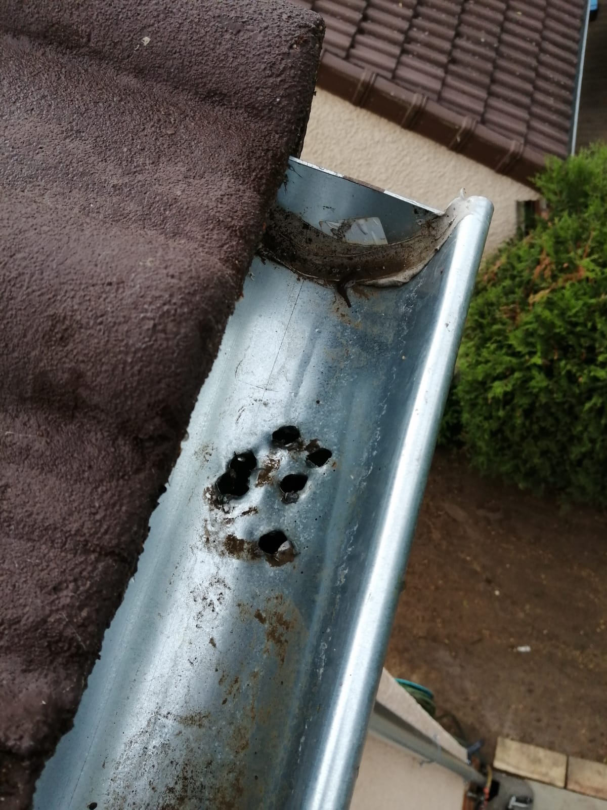 Photo n° 1 de l'avis de Jean.M fait le 14/06/2023 à 19:58