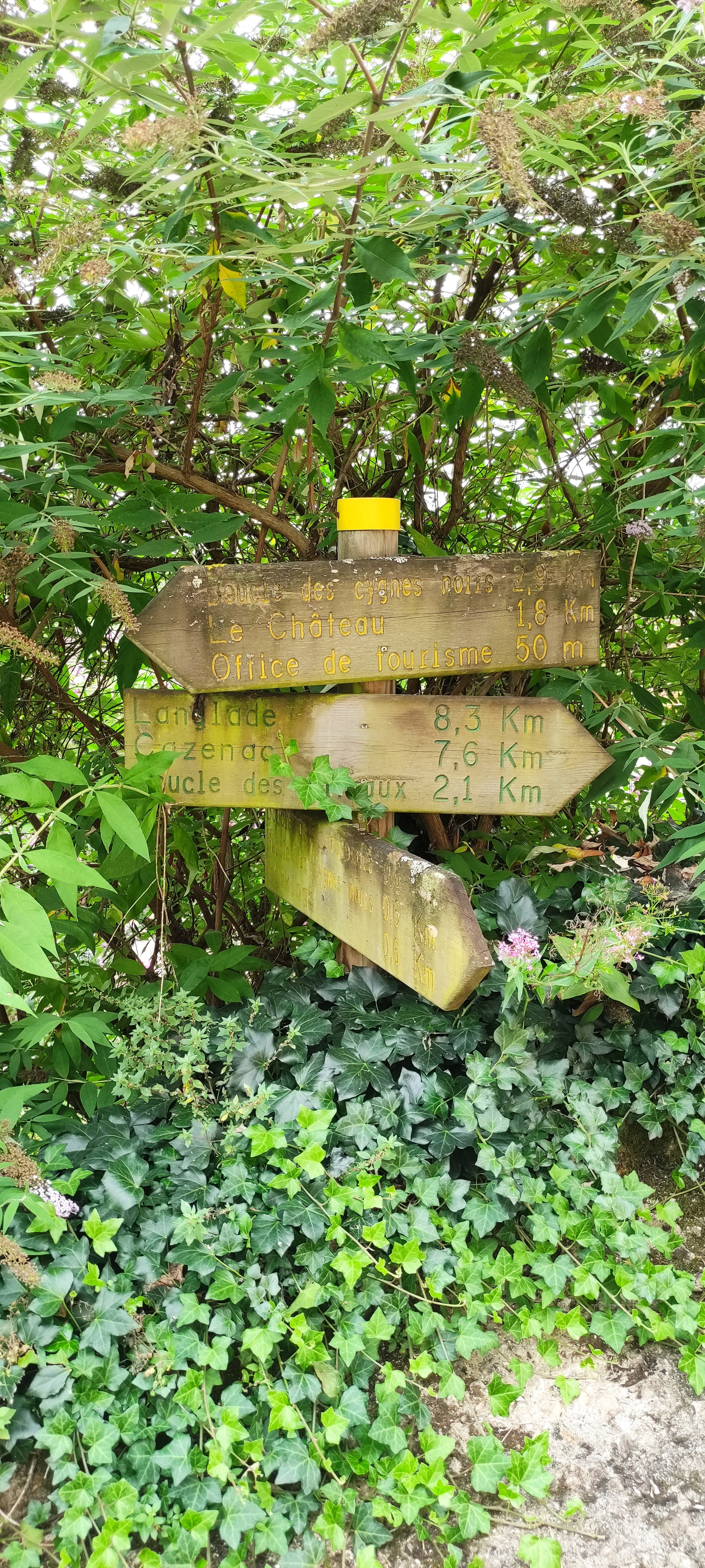 Photo n° 12 de l'avis de Loack.i fait le 19/08/2021 à 21:17