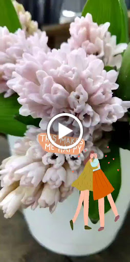 Florist «Berkeley Florist Supply Co Inc», reviews and photos, 2360 NW 23rd St, Miami, FL 33142, USA