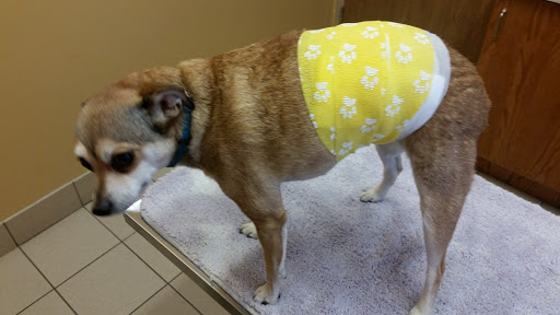 Highview Animal Clinic image