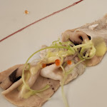 Photo n°6 de l'avis de Emanuele.i fait le 14/01/2024 à 11:18 sur le  New Lions Ricevimenti Molfetta à Molfetta