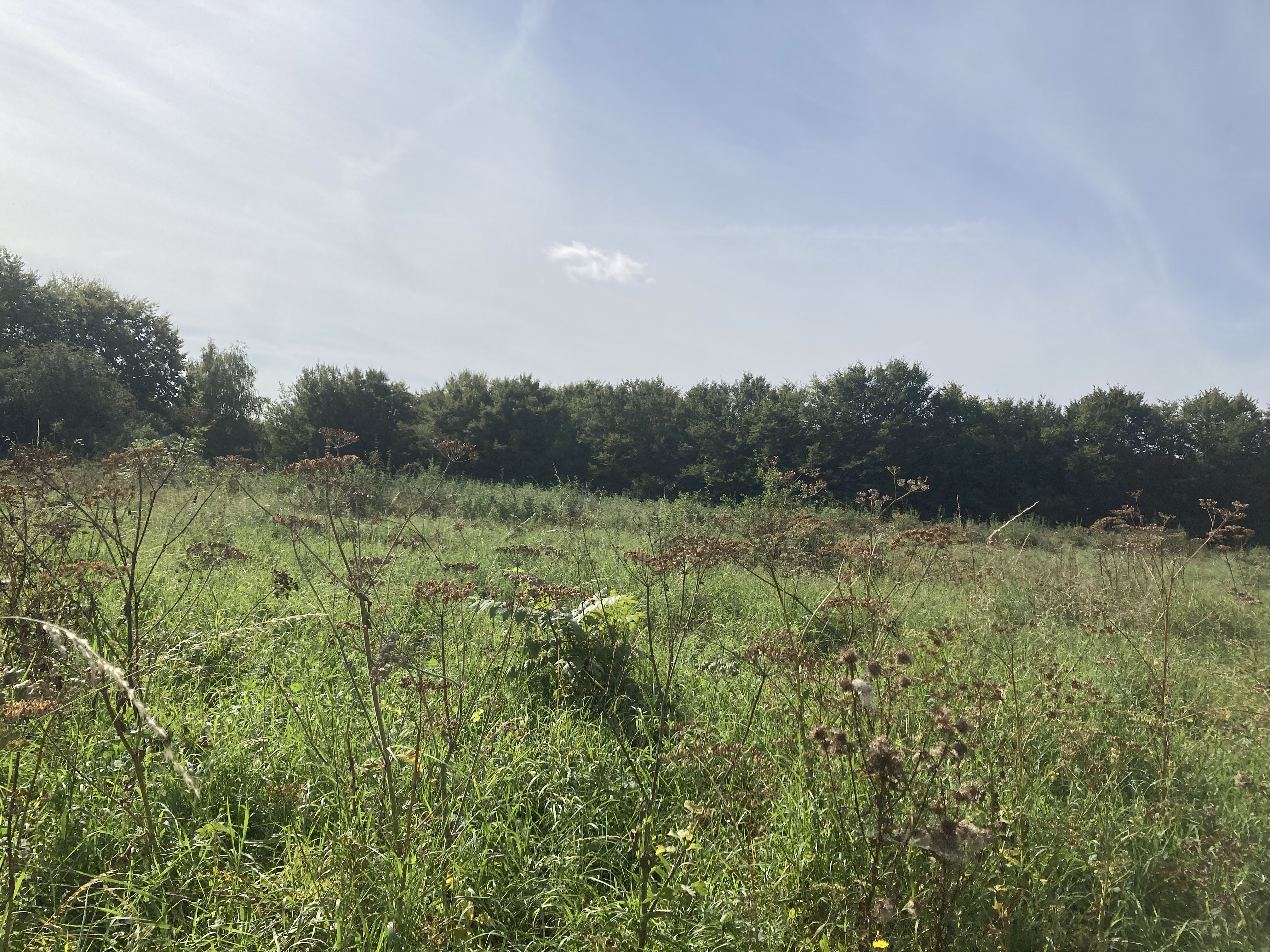Photo n° 31 de l'avis de Cécile-Laure.H fait le 12/09/2021 à 16:29