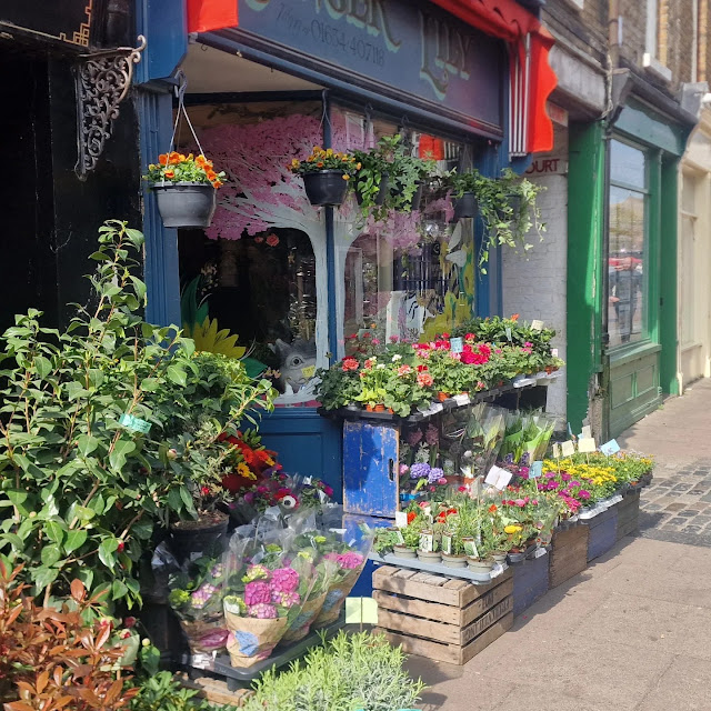 Ginger Lily Florist - Rochester