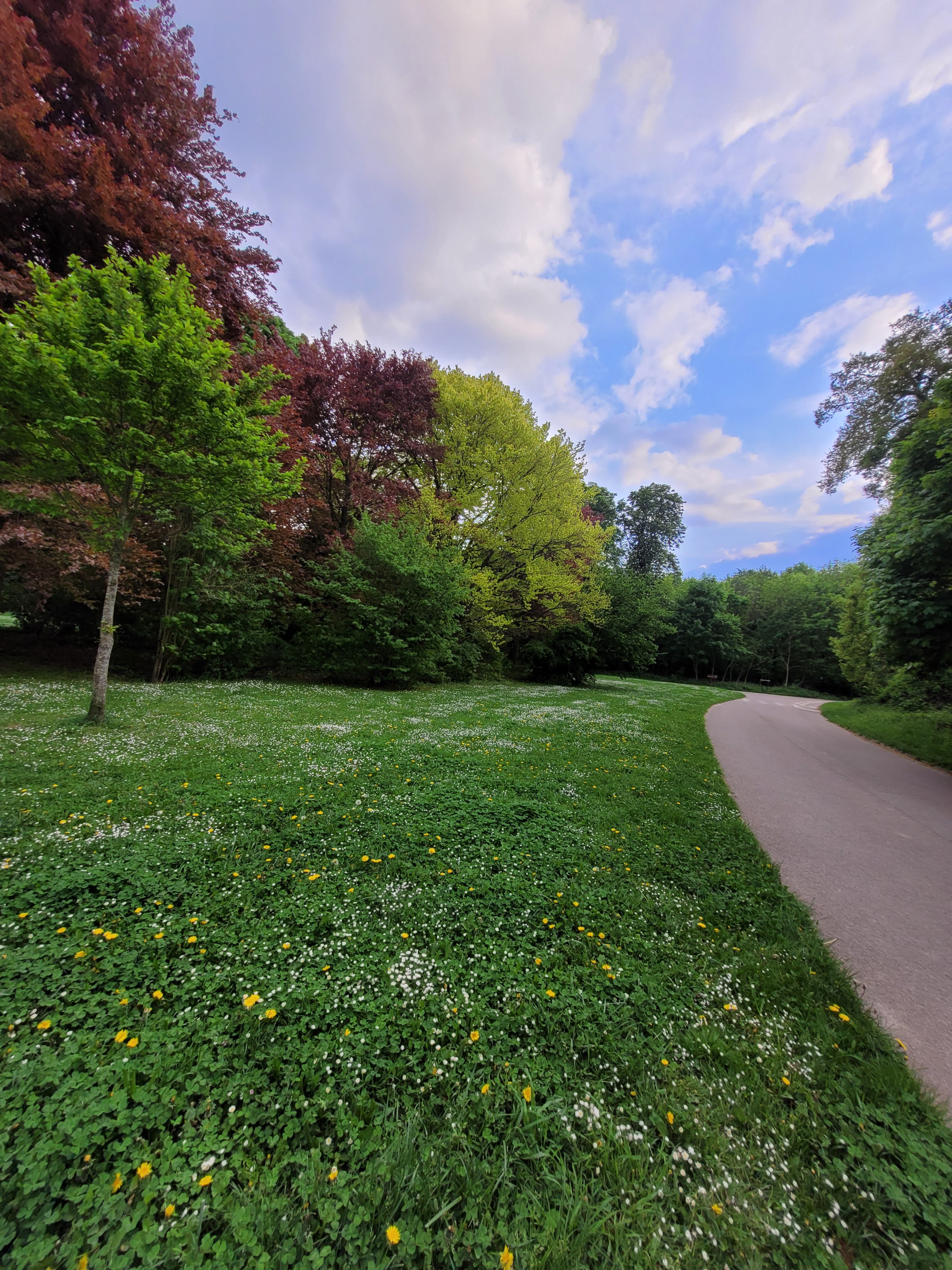 Photo n° 30 de l'avis de ernest.o fait le 17/08/2018 à 17:20