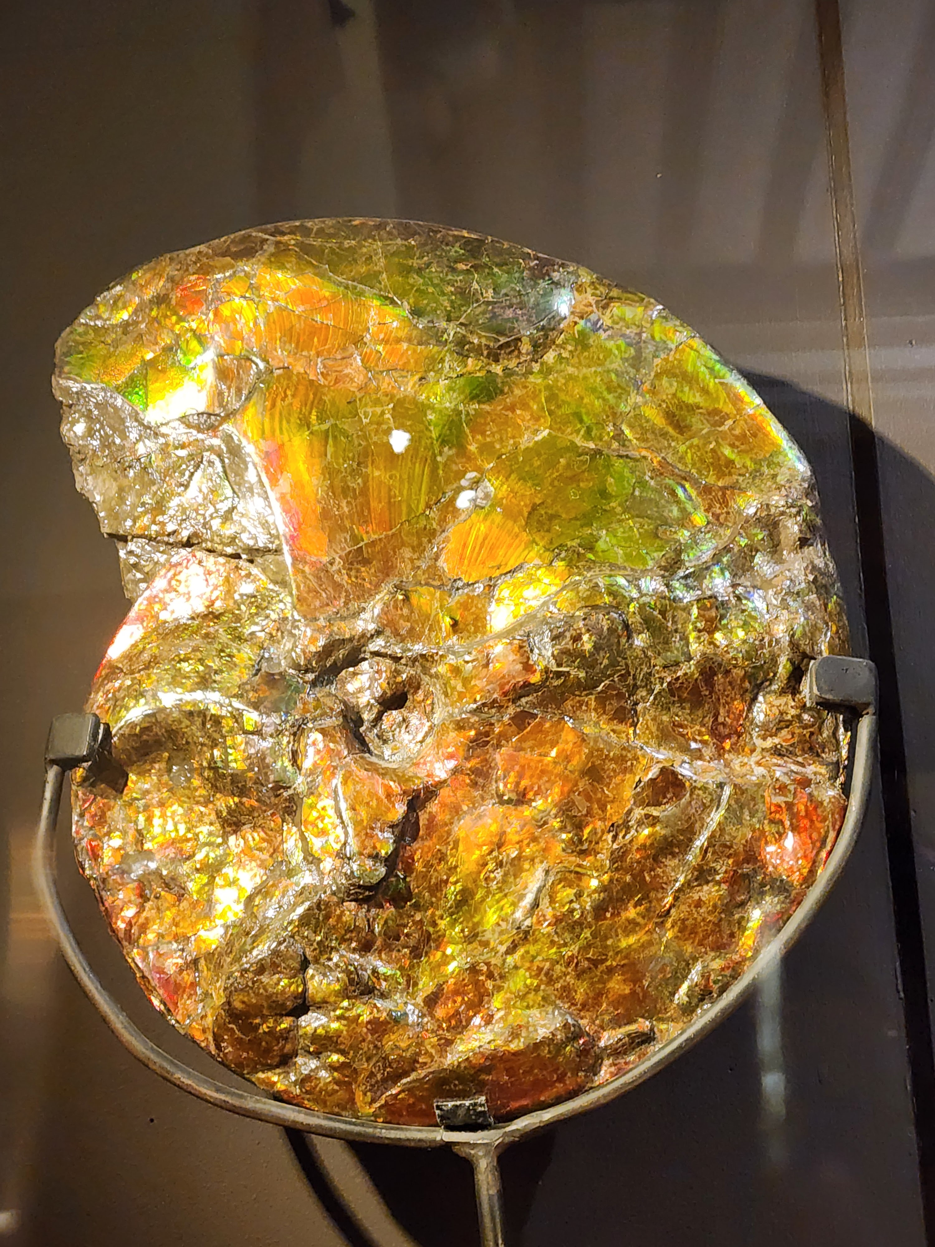 Photo n° 13 de l'avis de Anaïs.T fait le 07/02/2024 à 17:36