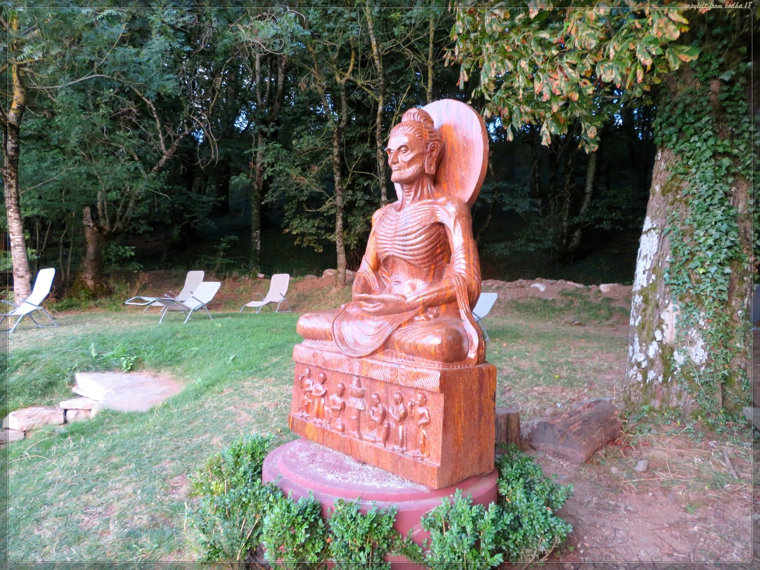 Photo n° 4 de l'avis de bodha.a fait le 29/10/2018 à 14:26