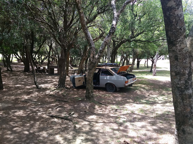 Playa Los Paraísos - Camping