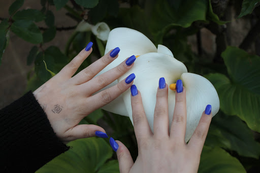 Clínica Veterinaria Poveda en Roquetas de Mar