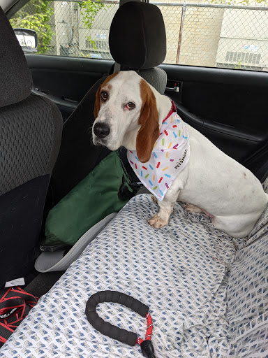 Pet Supply Store «PetSmart», reviews and photos, 5 Hampton House Rd, Newton, NJ 07860, USA