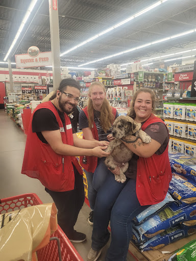 Home Improvement Store «Tractor Supply Co.», reviews and photos, 890 State Rte 415, Osteen, FL 32764, USA