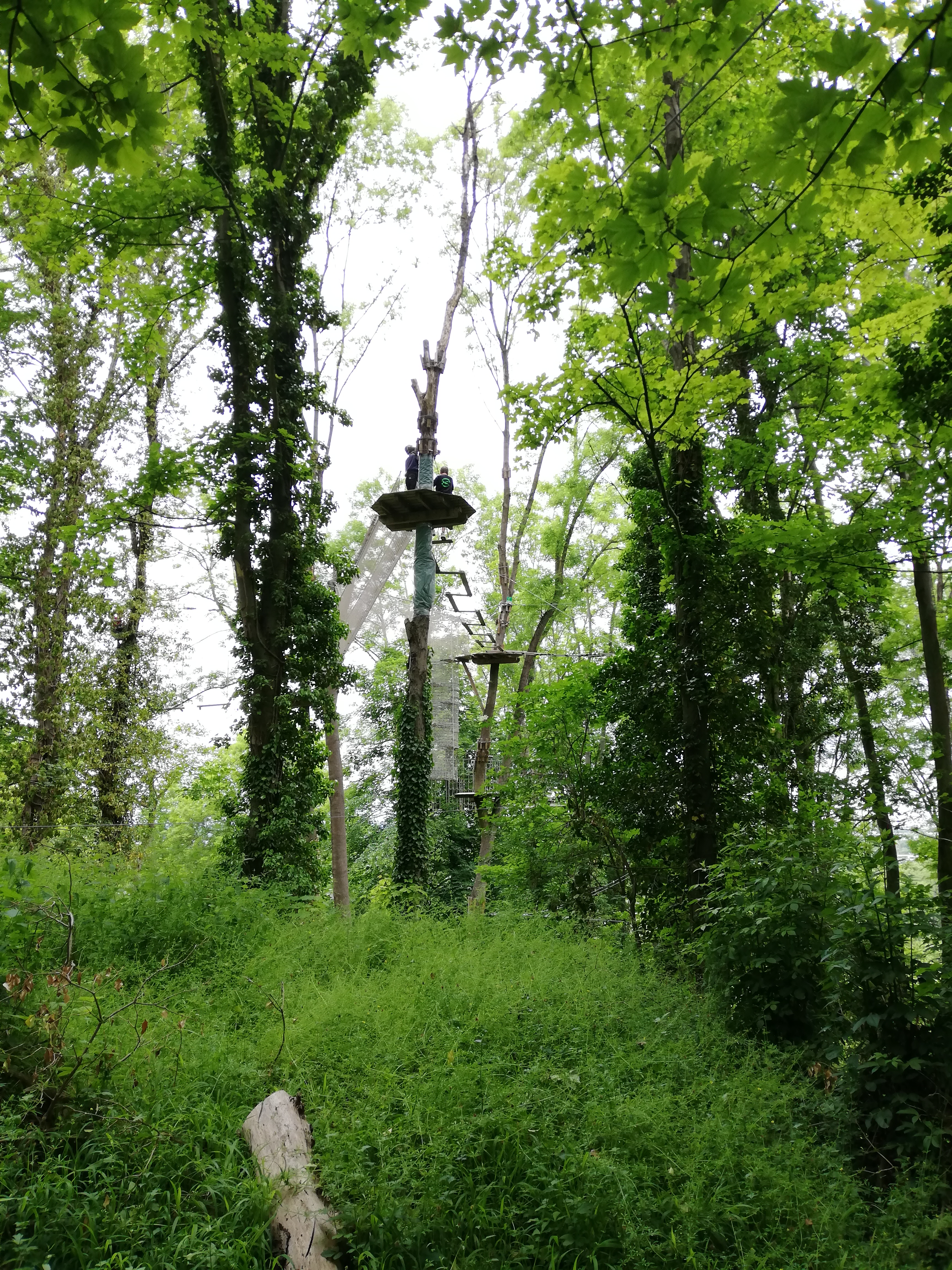 Photo n° 1 de l'avis de Vitalie.B fait le 30/05/2019 à 11:57